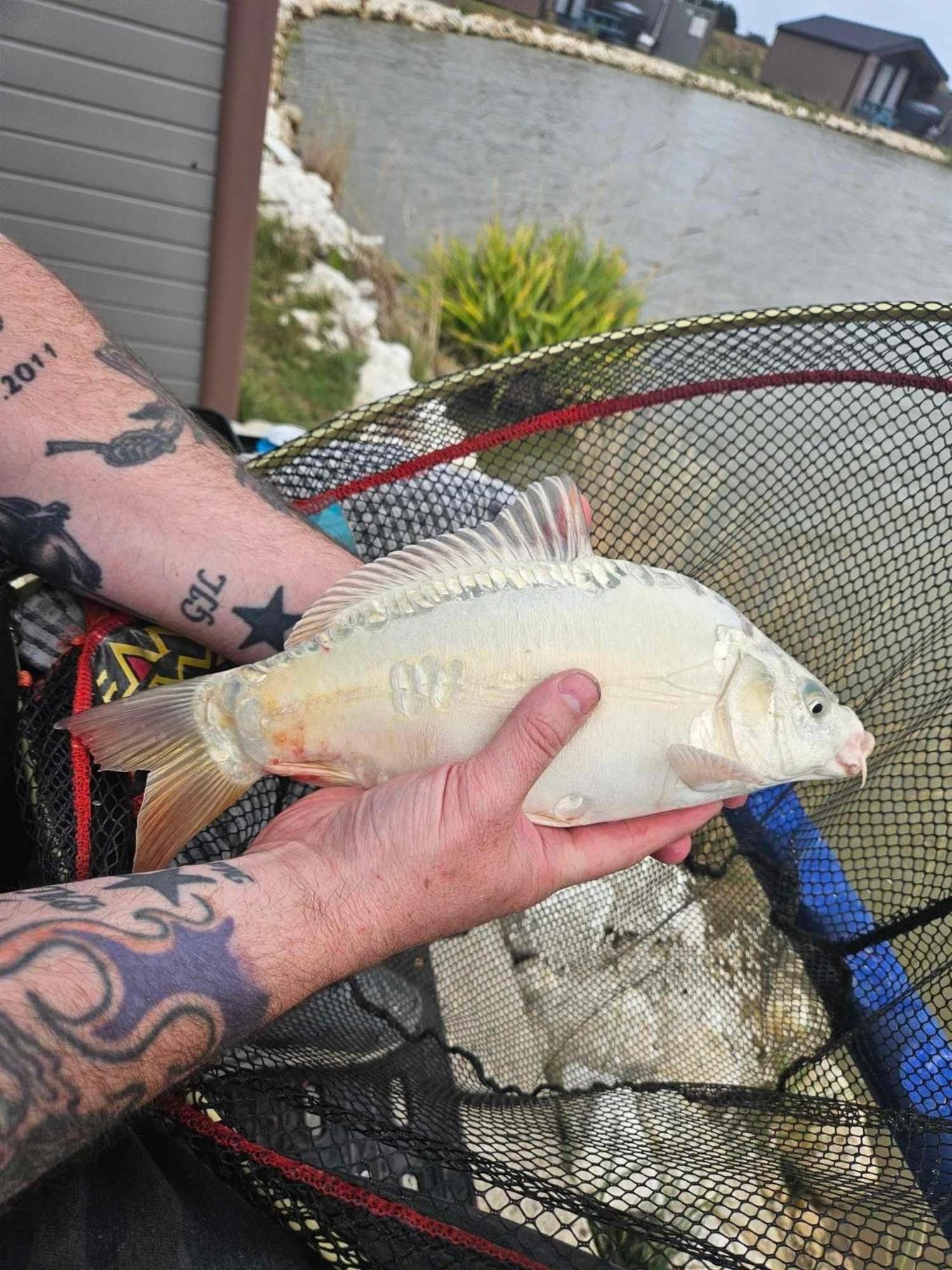 Lakeside Fishing Retreats Boston Pokoj fotografie