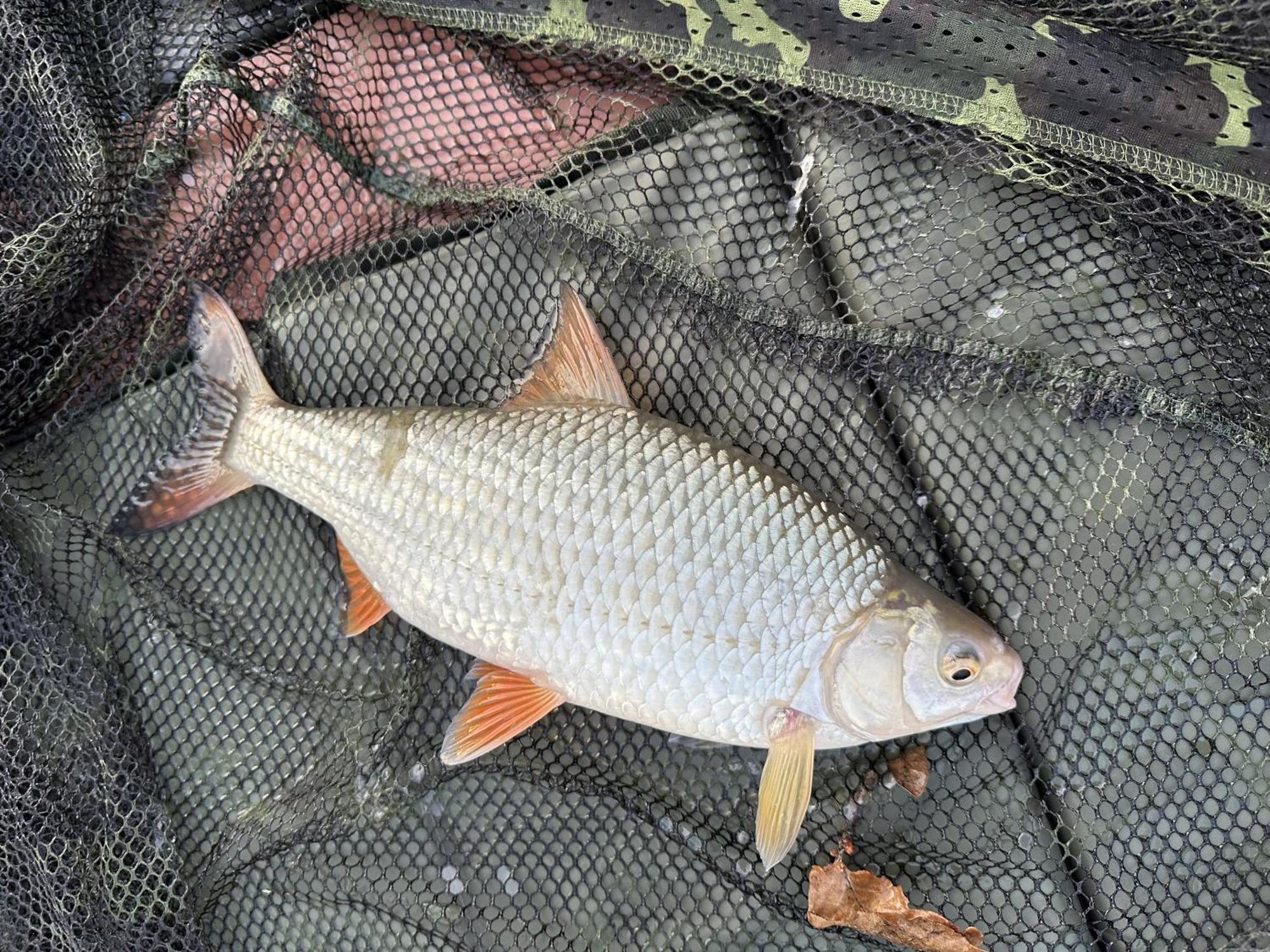 Lakeside Fishing Retreats Boston Pokoj fotografie
